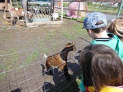 Výlet do ZOO Chleby a Labyrintária Loučeň